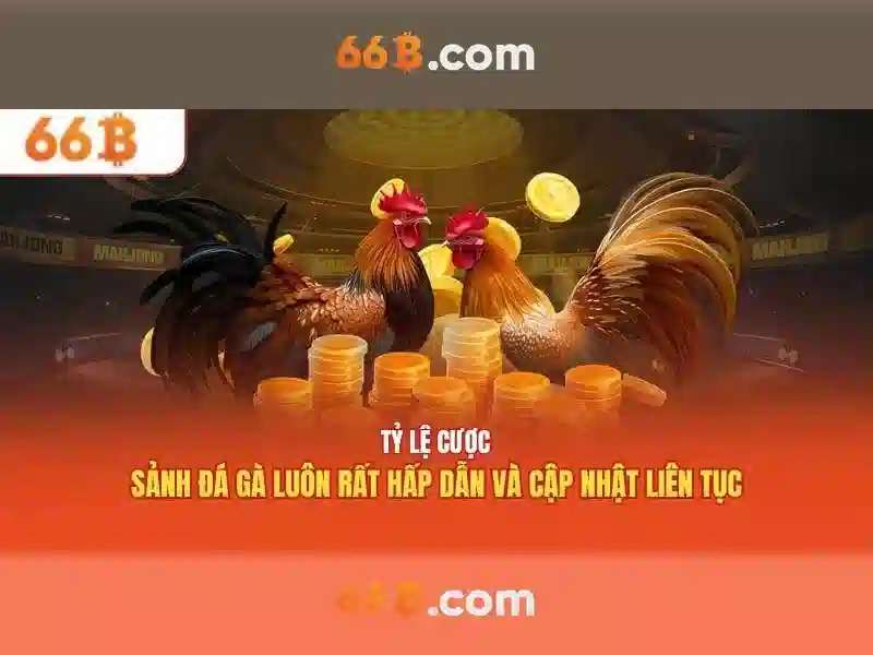 Tại Sao Chọn 66B