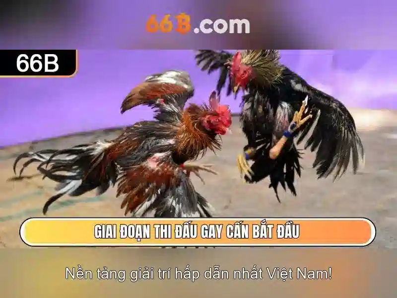 Tính năng 66B Android cho Slot