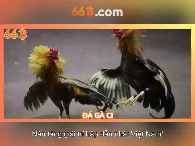 xóc đĩa 66b